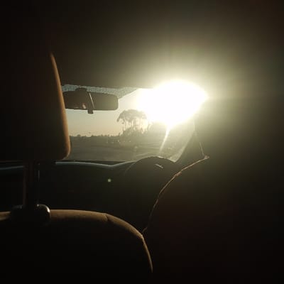 The interior of a car is depicted with the sun shining brightly through the windshield. The view is obstructed by the sun's glare, making details outside difficult to discern, but trees are visible. A rearview mirror hangs from the ceiling. The headrest of a car seat is in the foreground, obscuring some of the view. A hand can be seen on the steering wheel. The dashboard is silhouetted in the bright light.