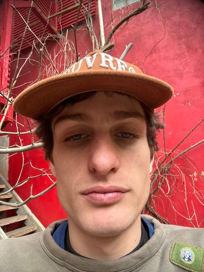 A young adult male is depicted in a close-up, front-facing portrait, captured in Romainville, France. The individual wears an orange baseball cap with "LOUVRE" embroidered in white across the front, an olive green crewneck garment, and a blue collared shirt visible underneath. A rectangular green patch, featuring a circular image of a blonde figure on a blue background, is affixed to the right shoulder of the olive green garment. The subject has dark, wavy hair, blue eyes, and light facial stubble, maintaining a neutral expression while looking directly forward. The background consists primarily of a textured, faded red wall. Bare, intertwined branches are visible against the wall, extending across the upper and middle portions of the scene. In the upper left background, a red slatted structure, likely a shutter, is partially visible, below which a section of weathered wooden stairs descends. The scene is brightly illuminated by natural light.