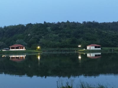 This image, captured in Pisanets, Bulgaria, displays an evening scene centered on a calm body of water with two illuminated structures on its banks, set against a backdrop of dense green forested hills. The lower half of the frame is dominated by the water, which clearly reflects the artificial lights and buildings. On the left bank stands a single-story building with white walls and a reddish-brown tiled hip roof, featuring a lit porch with multiple light sources. A dark-colored vehicle is partially visible parked near this building. To its right, a single bright streetlight illuminates the immediate area. A low, dark-colored bridge, likely wooden, spans a narrow section of the water, connecting the landmasses of the two structures. On the right bank, a smaller, single-story building with white walls and a reddish-brown tiled hip roof is visible, flanked by two bright streetlights positioned near the bridge's end. The background consists of a uniformly dark green, heavily wooded hillside. The sky is a gradient of dark blue, indicating dusk or early night. No human figures or activities are discernable.