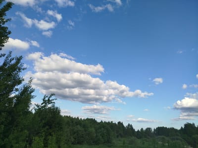 The image captures a bright, daytime scene in Мамонтово, Russia. A lush green forest occupies the lower portion of the frame, with trees of varying heights forming the horizon line. The sky is a brilliant blue, partially obscured by white, puffy cumulus clouds that appear scattered across the upper half of the image. The presence of trees in the lower-left corner suggests an edge of a forest or a densely wooded area. There are no people or animals visible in the scene.