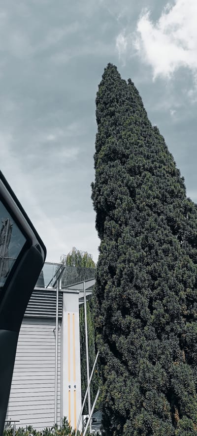 This is a full-frame, vertical, eye-level, medium outdoor shot taken on an overcast day in Fellbach, Germany. The image features a tall, dark green conifer tree dominating the right side of the frame, its dense foliage obscuring the sky. To the left of the tree, a modern building is partially visible, characterized by horizontal grey siding and a curved, dark-toned structure with glass on the left edge of the frame. A glass balcony railing and a light-colored pillar with two vertical yellow stripes are also present. In the background, a weeping willow tree can be seen, its branches hanging down. The sky is filled with grey clouds, with a few brighter patches suggesting sunlight struggling to break through. The overall tone of the image is muted and somewhat cool.