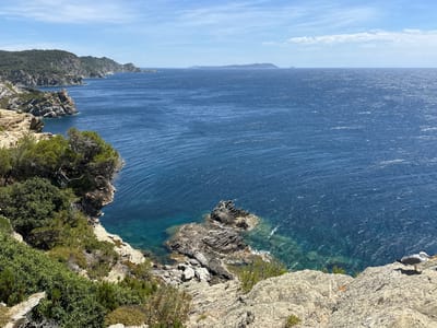 The image depicts a rugged coastline with lush vegetation and the deep blue sea under a bright sky with scattered clouds. The coastline is characterized by rocky cliffs that drop sharply to the water, with pockets of clear, turquoise water visible near the shore. Dense green bushes and trees, including pine trees, cover the upper slopes of the cliffs. In the foreground, large, weathered rocks form the edge of the cliff, with a seagull perched on the right side.
The sea stretches out to the horizon, with a gentle ripple across its surface, indicating a breezy day. In the distance, a long, mountainous island or peninsula is visible, with smaller islands or rock formations dotted around it. The sky above is a clear blue, with wispy white clouds adding texture.
This scene is consistent with the coastal landscape of Hyères, France, particularly in areas like the Giens Peninsula or the Îles d'Hyères, known for their dramatic cliffs, Mediterranean vegetation, and clear blue waters. The image captures a natural, untamed beauty of the Mediterranean coast.