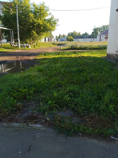 The image shows a patch of overgrown grass next to a paved area, likely a road or sidewalk, in Kranokholmskiy, Russia. Sunlight illuminates the grass, creating bright patches. In the background, a large tree with vibrant green leaves stands to the left. Beyond the tree, there are several buildings visible, including what appears to be residential structures with peaked roofs and white walls. A telephone pole stands near the tree. A puddle of water is present on the paved surface to the left of the grass. The scene suggests a rural or suburban setting with a mix of natural vegetation and man-made structures under a clear sky.
