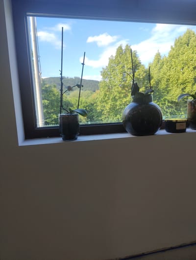 An eye-level, medium shot captures an indoor scene looking out a window, revealing a serene natural landscape. The image is dominated by a rectangular window with a dark frame, set against a light-colored, possibly off-white, interior wall. A white windowsill runs across the bottom of the window frame.
On the windowsill, several objects are arranged. To the left, a plant, likely an orchid, is housed in a clear cylindrical glass pot containing dark substrate. It has a single broad leaf and a slender, dark stem reaching upwards. Next to it, in the center, another plant (also appearing to be an orchid) is in a larger, spherical dark glass container, with a few dark leaves visible at its top and multiple tall, thin support sticks. To the right of the spherical planter, a small, dark jar with a gold lid is visible, appearing to be a candle. Faint text on its label reads "SPICE & PEPPER". A third plant is partially visible on the far right.
Beyond the window, a vibrant outdoor scene unfolds under a bright blue sky dotted with scattered white clouds. A dense expanse of lush green trees, suggesting a forest, dominates the middle ground. In the distance, rolling hills covered with trees rise under the clear sky. The overall impression is one of bright, sunny weather during the daytime, likely morning or afternoon. The vibrant greenery and distant hills are consistent with natural landscapes found in areas like Bad Pyrmont, Germany. There are no people visible, and no activity is taking place; the scene is still and peaceful.