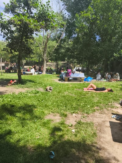 In a park with abundant trees and green grass, several people are gathered, enjoying a picnic or relaxation. In the foreground, a woman is lying on a pink mat on the grass, facing away from the camera. To the left, a red object resembling a bag or blanket is on the ground, next to a textured, rounded object that could be a rock or debris. Further back, a picnic table is set up with food and drinks, and various groups of people are seated around it or on blankets on the grass. Some individuals appear to be interacting with each other, while others are engaged in individual activities. In the background, more trees and foliage create a natural setting, and hints of a body of water or stream can be observed. The overall scene depicts a casual outdoor gathering in a park-like environment.