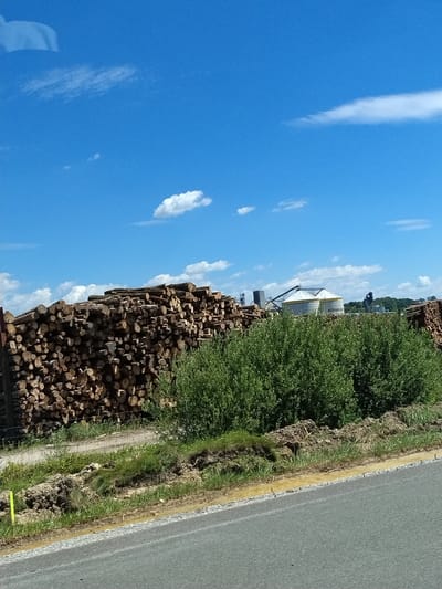 The image depicts a scene outside of Hengersberg, Germany, featuring a large pile of cut logs in the foreground, stacked high. Behind the logs, a dense green hedge runs across the mid-ground. Further in the background, industrial silos with the visible label "SCHW...ER" stand against a bright blue sky dotted with white clouds. A paved road is visible in the lower portion of the image. The scene appears to be a storage or industrial area adjacent to natural and built environments.