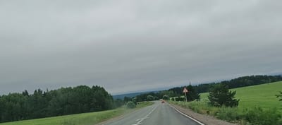 The image captures a view from a vehicle driving on a paved road through a rural landscape, likely in Perevoznoye, Russia. The road curves gently to the left in the foreground and continues into the distance, lined by white dashed lines. On the right side of the road, a triangular warning sign with a black arrow indicating a sharp curve is visible. The surrounding environment consists of lush green grassy fields and dense, dark green forests. The sky is overcast with thick, gray clouds, suggesting a cloudy or possibly rainy day. In the distance, a red car is visible on the road. The terrain appears to be hilly, with the forests covering the slopes and the fields stretching across the flatter areas.