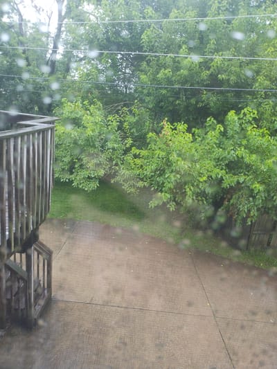 The image depicts an outdoor scene viewed through a window with water droplets on it, suggesting it is raining. In the foreground, on the left, is a wooden deck with railings and stairs. The deck appears weathered. Adjacent to the deck is a concrete patio or walkway. Beyond the patio, there is a lawn and a dense growth of green trees and bushes, indicating a natural or suburban environment. Several power lines are visible running horizontally through the trees. The overall impression is a rainy day scene in a residential or park-like setting. The location is identified as Nicholasville, United States of America.