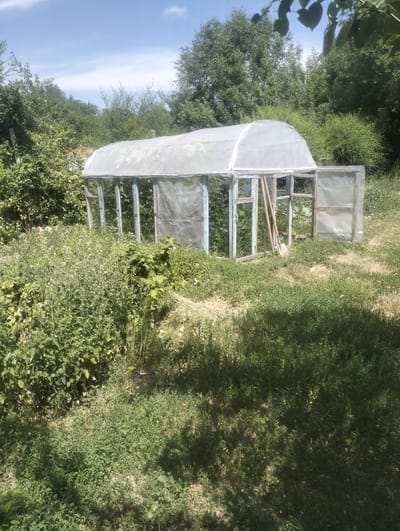 A greenhouse made of wood and translucent plastic sheeting stands in a grassy, overgrown area with trees and bushes in the background. The greenhouse has a curved roof and an open door with two shovels leaning against it. The surrounding vegetation is lush and green, with some areas of dry grass. The sky is blue with some scattered clouds. The image appears to have been taken on a sunny day in the city of Qarabulaq, Kazakhstan.