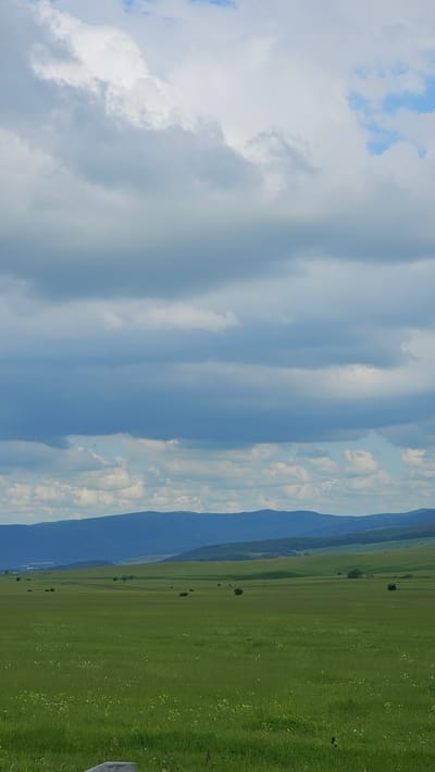 The image depicts a vast, green, rolling landscape under a cloudy sky. The foreground is dominated by a lush green field dotted with small wildflowers. In the middle ground, several scattered trees and bushes break up the uniformity of the field. The background features layers of blue-hued mountains and hills, receding into the distance. The sky is filled with a mix of white and gray clouds, with patches of blue visible through them. The overall impression is one of a tranquil, natural environment. The location is specified as Красный Курган, Russia.