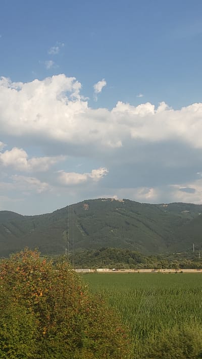The image depicts a rural landscape with a mountain range in the background. The mountain is covered in dense green trees. At the summit of the mountain, there are several structures, possibly buildings or ruins, visible. In the foreground, there is a field of tall green grass or crops, and to the left, a bushy tree with orange and red fruits. A road or railway line runs horizontally across the middle ground, with a few vehicles visible. The sky is blue with scattered white clouds. The scene appears to be a natural landscape with some man-made elements. The location is identified as Turany, Slovakia.