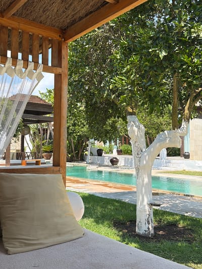 This is a photograph of a tranquil outdoor poolside area in Sant Joan de Labritja, Spain. In the foreground, a padded chaise lounge with a large, light beige cushion is positioned on a textured grey surface, suggesting a private resort or luxury villa setting. Sheer white curtains hang from a wooden gazebo structure, partially obscuring a view of the background.
Beyond the gazebo, a bright turquoise swimming pool is visible, with a paved walkway surrounding it. The pool area is bordered by lush green grass. A prominent, whitewashed tree with visible dark marks on its trunk stands near the pool, its branches laden with small green fruits, likely citrus.
In the middle ground, architectural elements suggestive of a Mediterranean or Balinese style are present, including wooden beams, textured walls, and tiled roofs. Various potted plants and decorative dark ceramic vases are scattered around the area, adding to the ambiance. The background reveals more of the surrounding greenery and the bright blue sky, indicating a sunny day. No people are present in the scene.