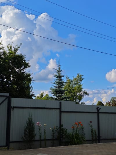 The image depicts a section of a backyard in Лужники Снт, Russia, on a clear day with a bright blue sky filled with fluffy white clouds. A grey corrugated metal fence runs horizontally across the lower half of the image, serving as a boundary. In front of the fence, several plants are visible, including a small evergreen tree, flowering plants with pink and orange blossoms, and some leafy green foliage. Behind the fence, the upper branches of trees, including a tall, slender fir tree, are seen against the sky. Power lines are strung across the upper portion of the frame, adding to the urban or suburban landscape. The ground in front of the fence appears to be paved with stone tiles. There are no people or animals visible in the scene.