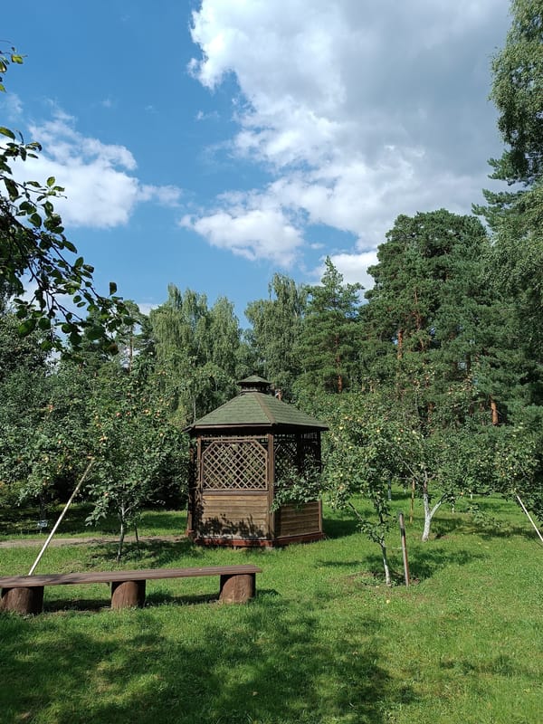 Summer afternoon in a Bykovo park, flowers, sculptures, and forest floor finds.