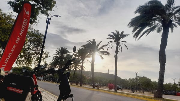 Electric scooter rental setup along Pedro González's palm-lined coastal street