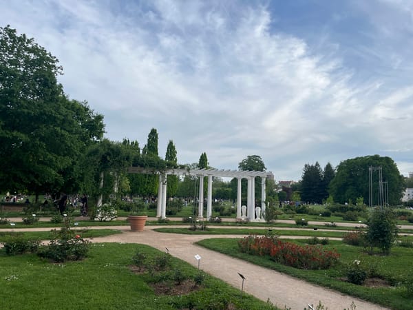 Rose garden with white pergola observed at Lyon park