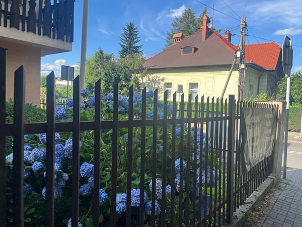 Sunny afternoon walkthrough of a quiet residential and commercial neighborhood