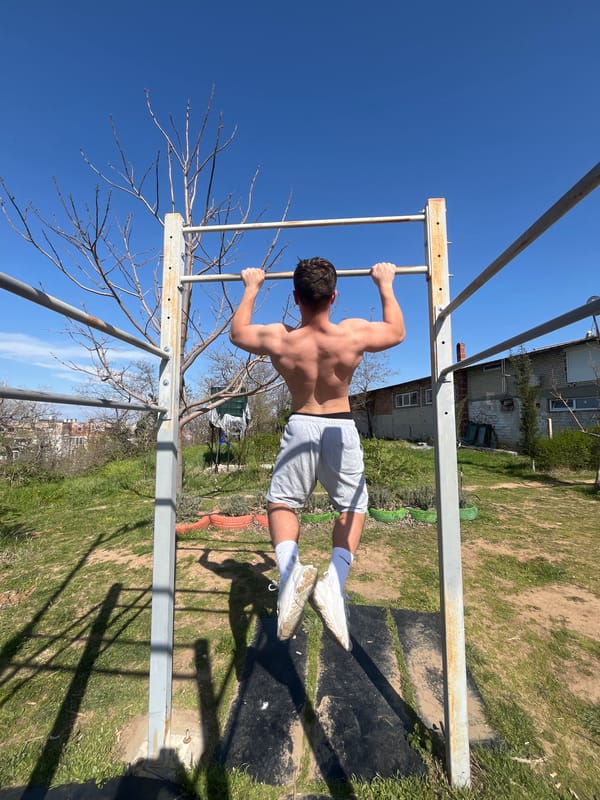 Sunny day captures exercise equipment at Asenovgrad park