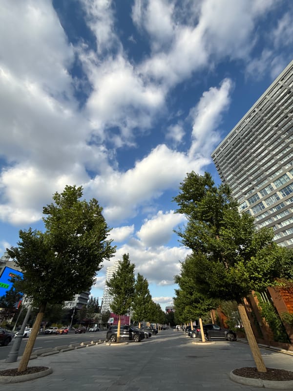 Summer afternoon along Moscow's pedestrian streets and gardens