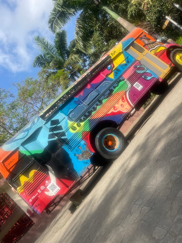 Artistically painted bus spotted in tropical setting with palm trees
