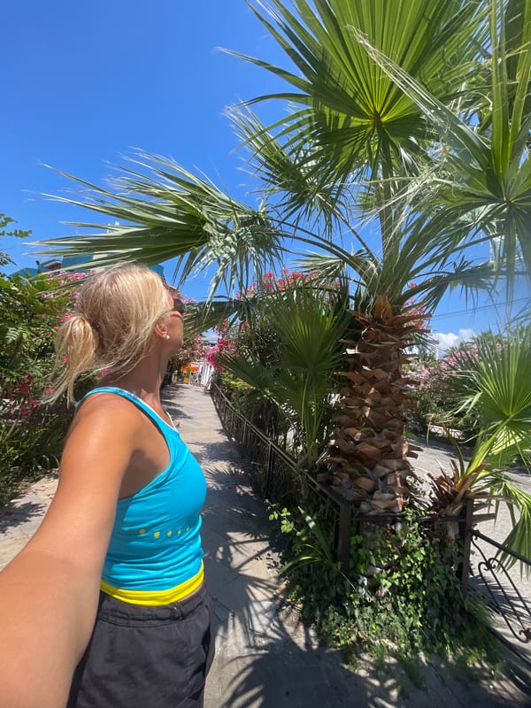 Sochi promenade in bloom, oleanders and palm trees under blue sky