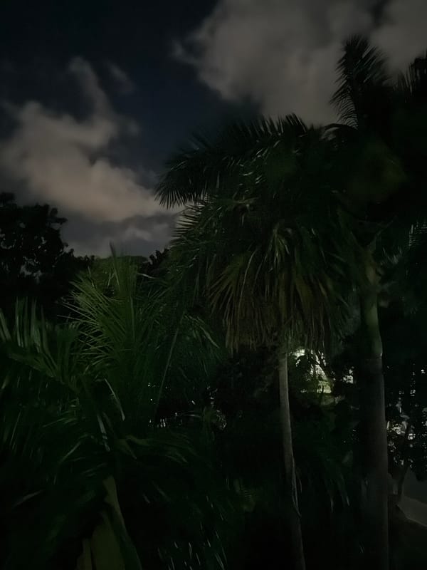 Dark nighttime scenes captured in Playa del Carmen