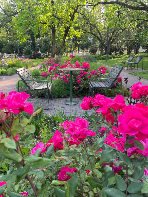 Early morning life documented across Sochi's parks and public spaces