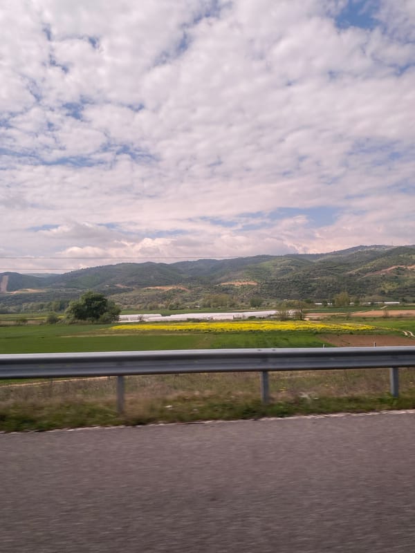 Morning drive through rural Sandanski countryside documented by traveler