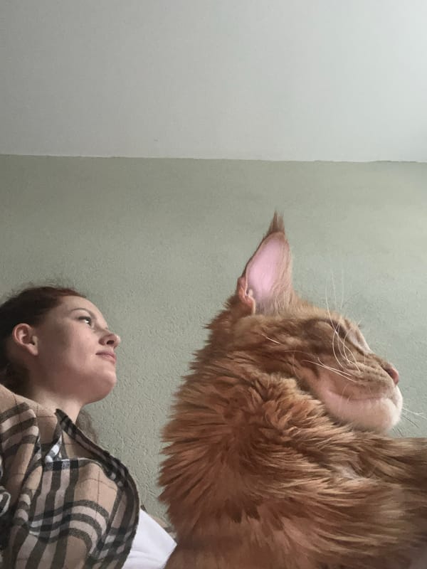 Woman photographs daily moments with ginger cat, dachshund in Petersburg