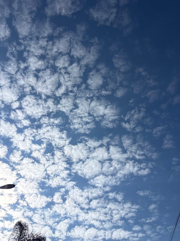 Altocumulus clouds photographed over San Pablo del Monte, Mexico