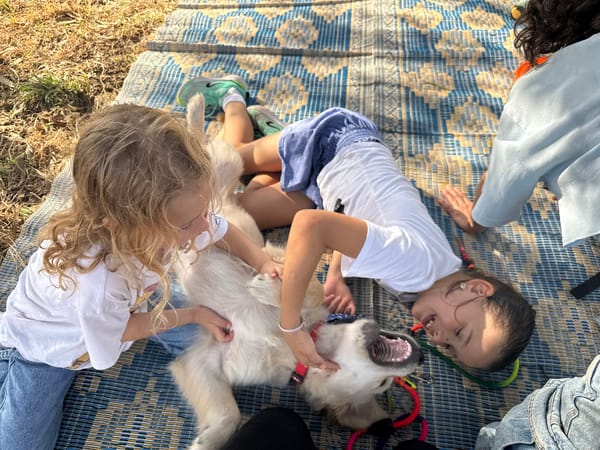 Family enjoys outdoor barbecue and playtime in Netanya park