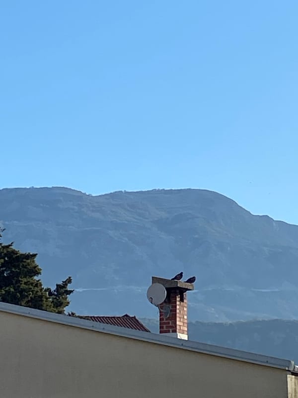 Morning scenes documented across Budva, Montenegro by single witness