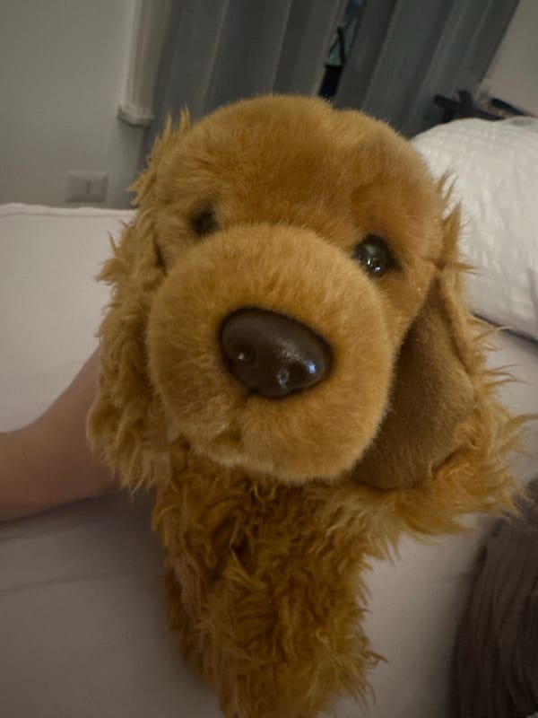 Brown plush dog toy photographed on bed in Milan