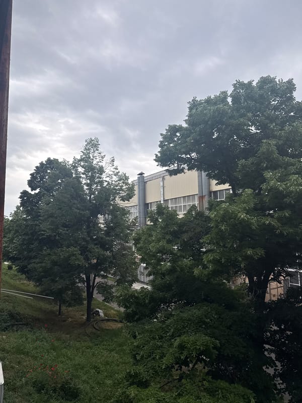 Morning documentation captures everyday scenes in Stara Zagora, Bulgaria