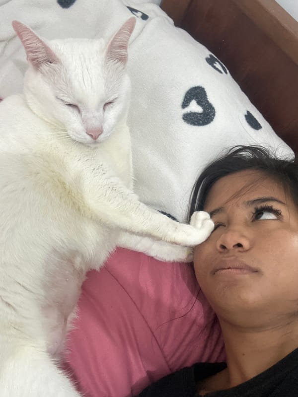 Woman documents quiet morning moments with heterochromatic cat in Indonesia