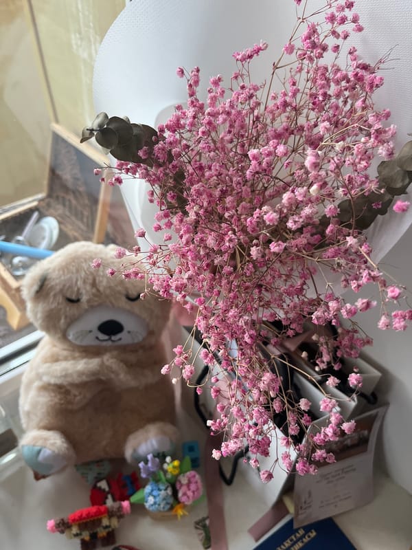 Dried flowers, a plush bear, and a quiet residential street