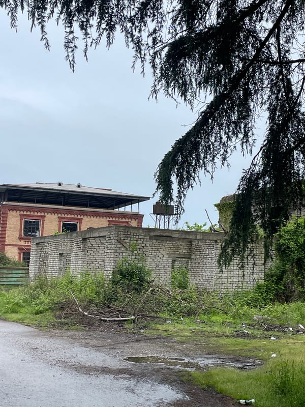 Urban decay documented in abandoned Giachrypsh district, Abkhazia