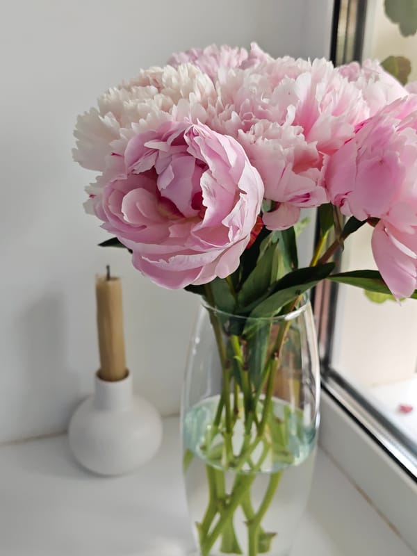 Pink peony bouquet photographed indoors in Vinnytsia, Ukraine