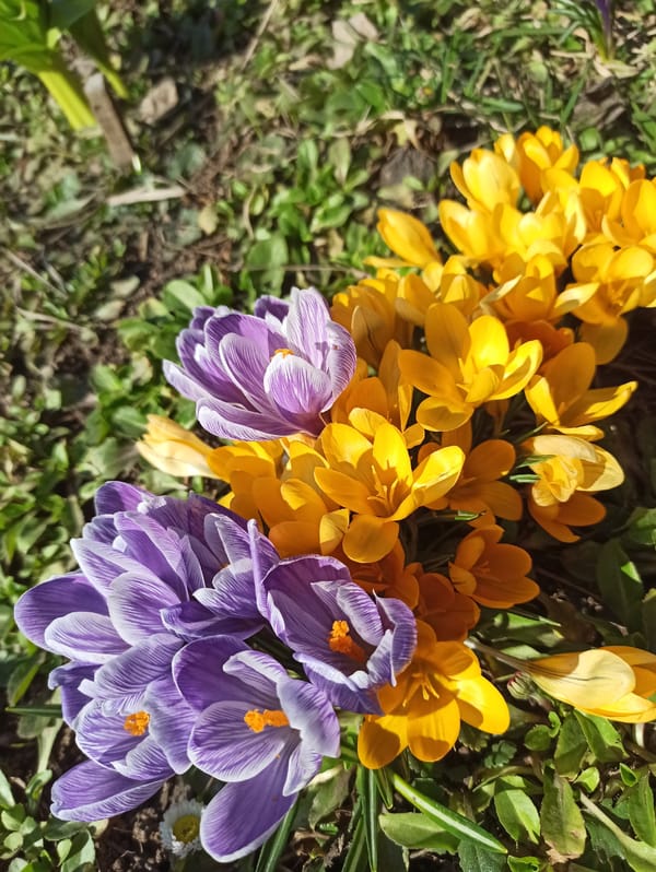 Woman documents early spring morning in Chaikovsky, Russia