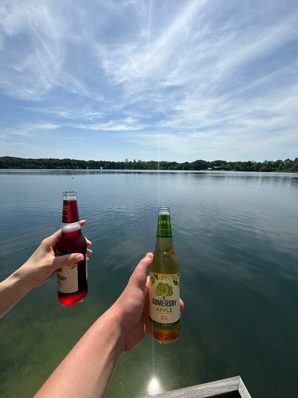Lakeside afternoon in Turnhout with drinks and good weather
