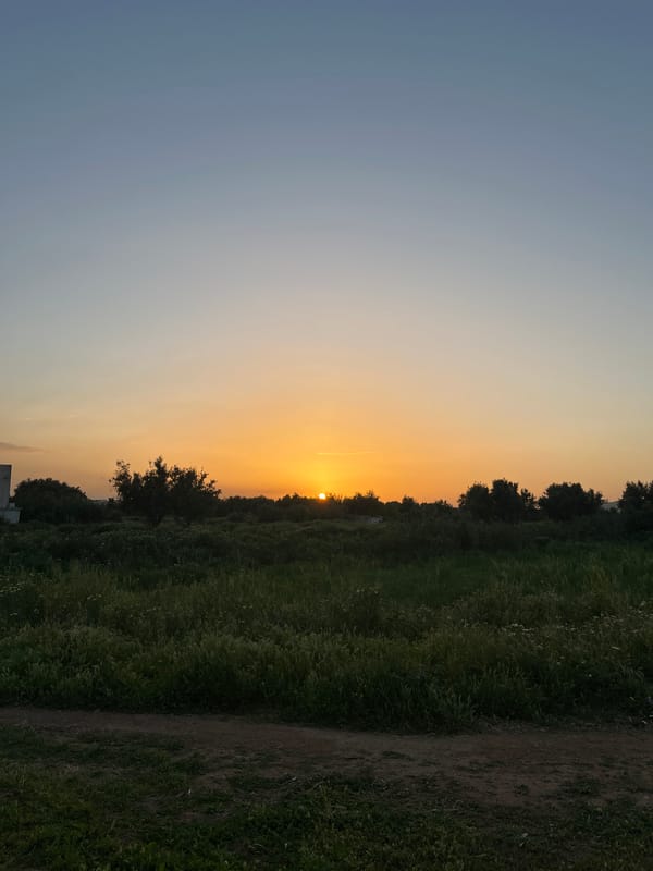 Sunset captured over agricultural fields outside Fez, Morocco