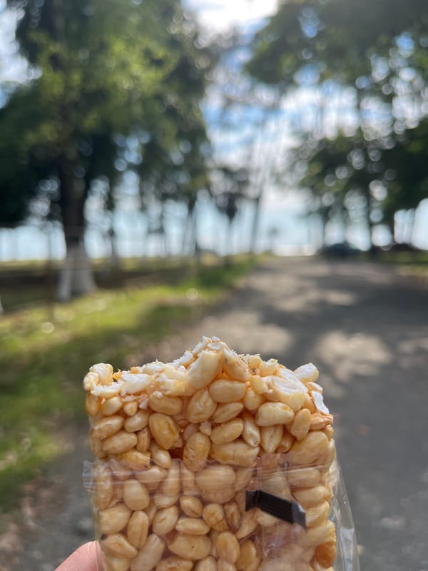 Afternoon at Ureki's black sand beach and promenade