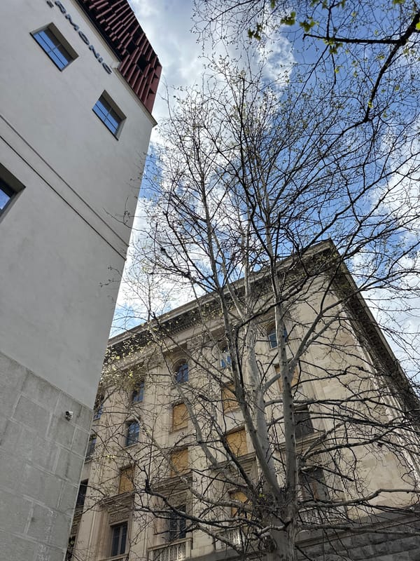 Morning street life documented across Tbilisi, Georgia