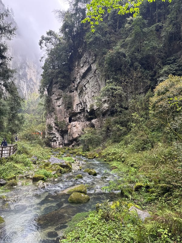 Stream flows through green landscape in Wulong District