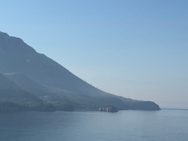 Corgi and tortoise share a slow morning in coastal Montenegro