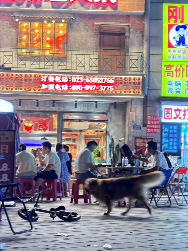 Evening street food dining captured in Chongqing High-tech Zone