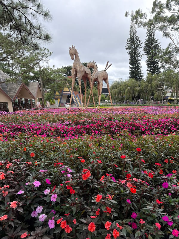 Woven horse sculptures and flower gardens at Đà Lạt's Lâm Viên park