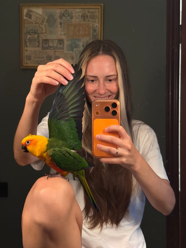 Mirror selfies and a colorful Sun Conure in Khimki