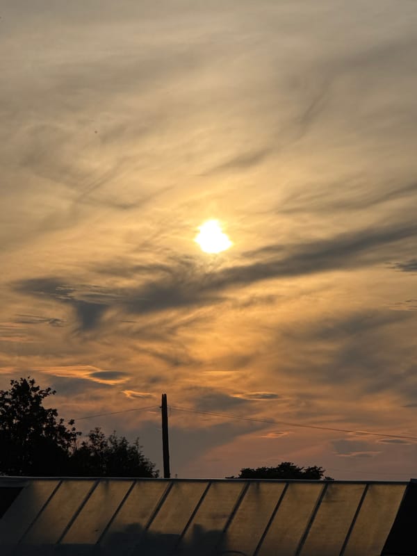 Backyard shashlik night in Bigila under a golden sunset