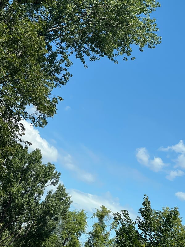 Clear summer sky over Warsaw, shot from below the canopy